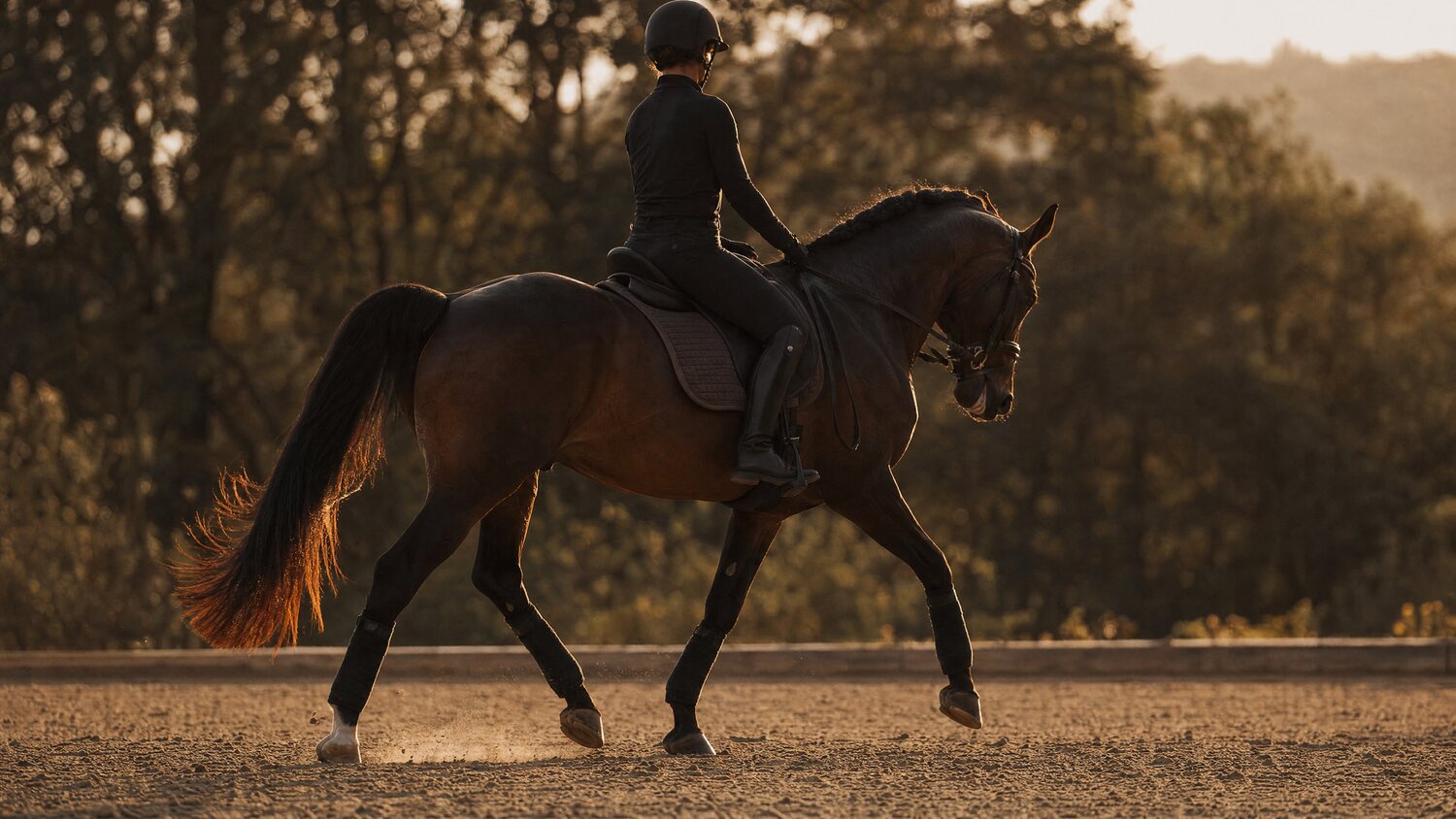 A horse and rider schooling in a sand arena at golden hour